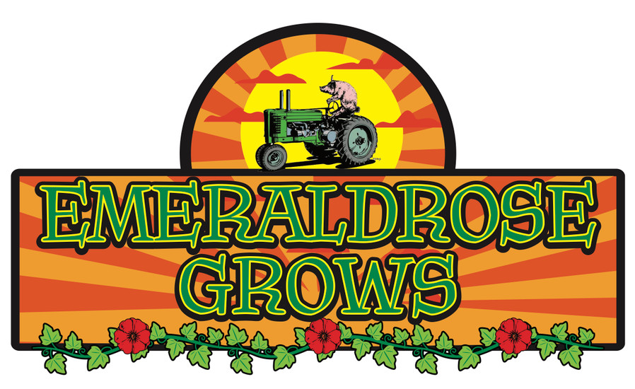 Emerald Rose Grows