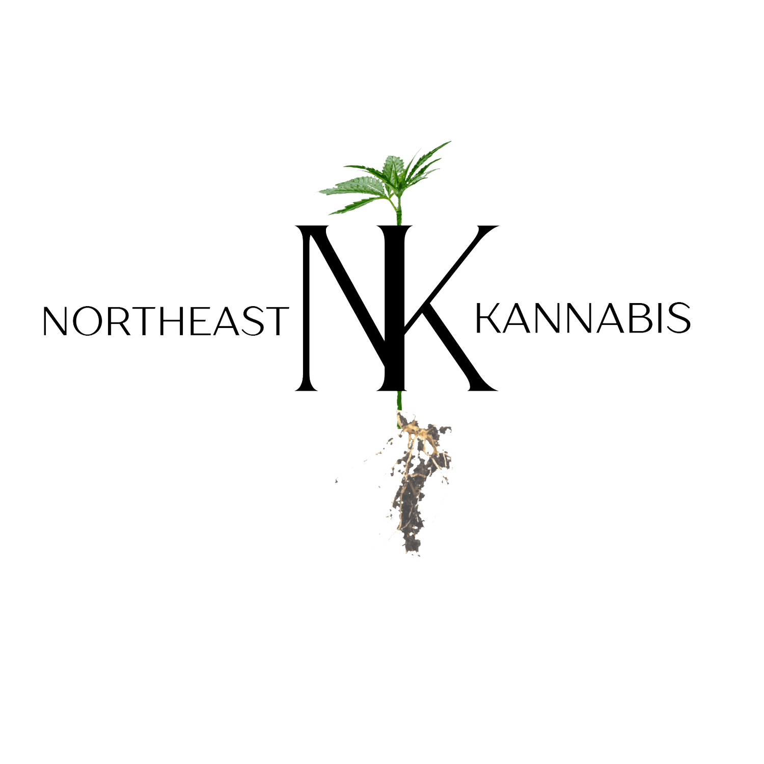 Northeast Kannabis