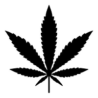 Tmm Dispensary LLC