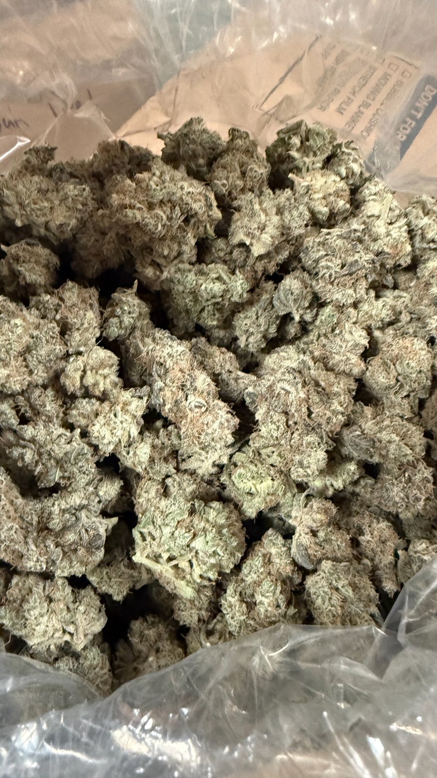 Harvest — Go Altius